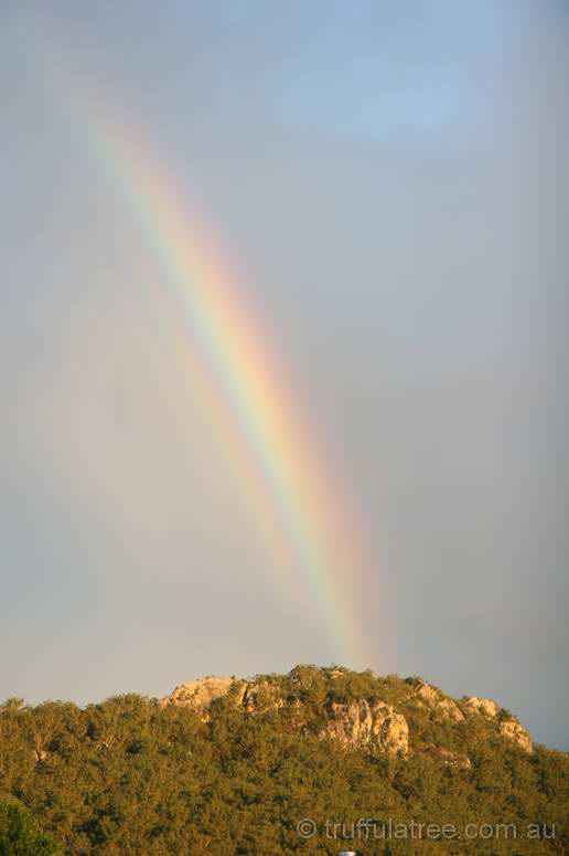 Rainbow over Buladelah