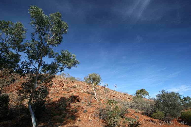 View from the back door at Heavitree Gap