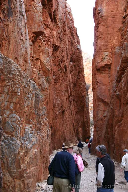 Standley Chasm