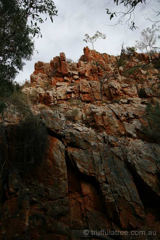 Standley Chasm