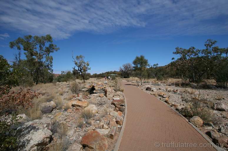 Ellery Creek Big Hole