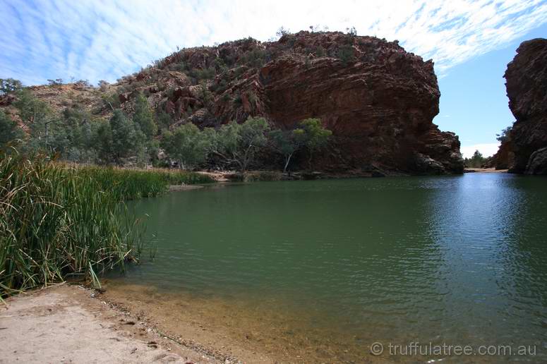 Ellery Creek Big Hole