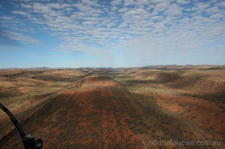 MacDonnell Ranges