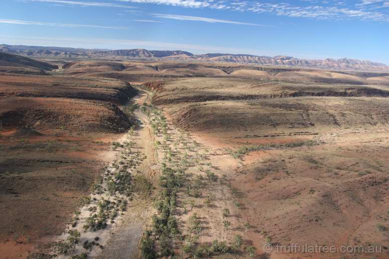 Finke River