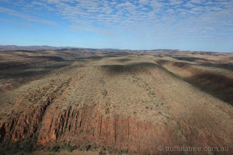 MacDonnell Ranges