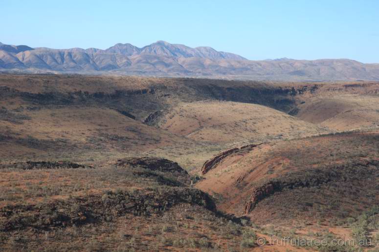 MacDonnell Ranges