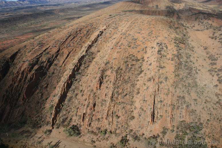 MacDonnell Ranges