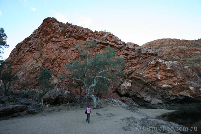 Ormiston Gorge