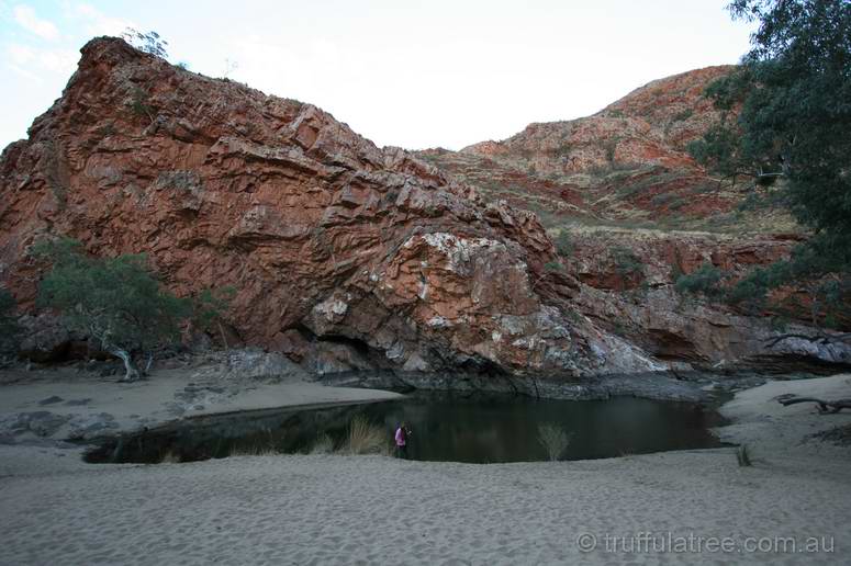 Ormiston Gorge