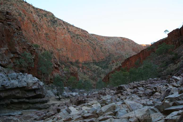 Ormiston Gorge