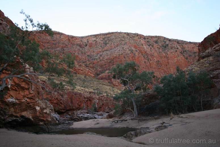 Ormiston Gorge