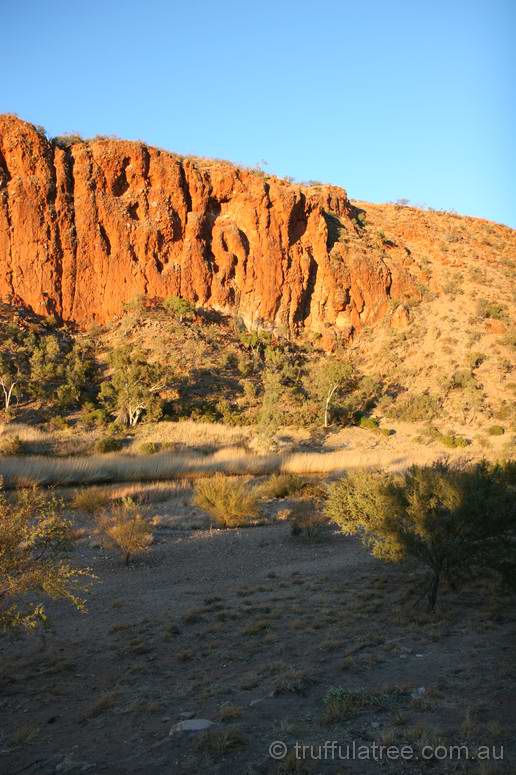 Glen Helen