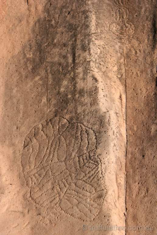 Ancient carvings in Roma Gorge