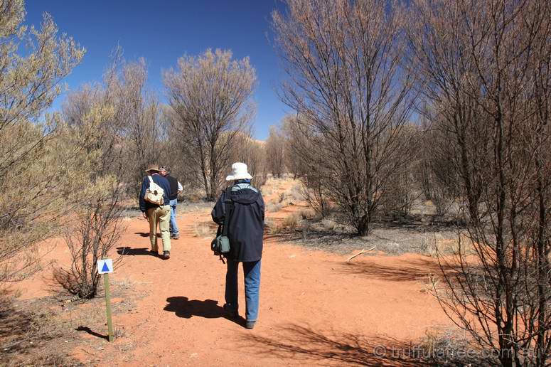 Inside Gosses Bluff (Tnorala)