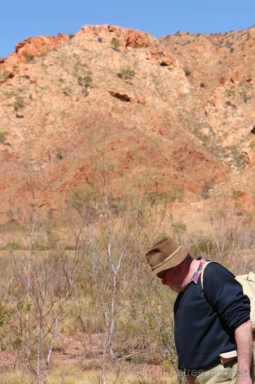 Looking for shatter cones inside Gosses Bluff