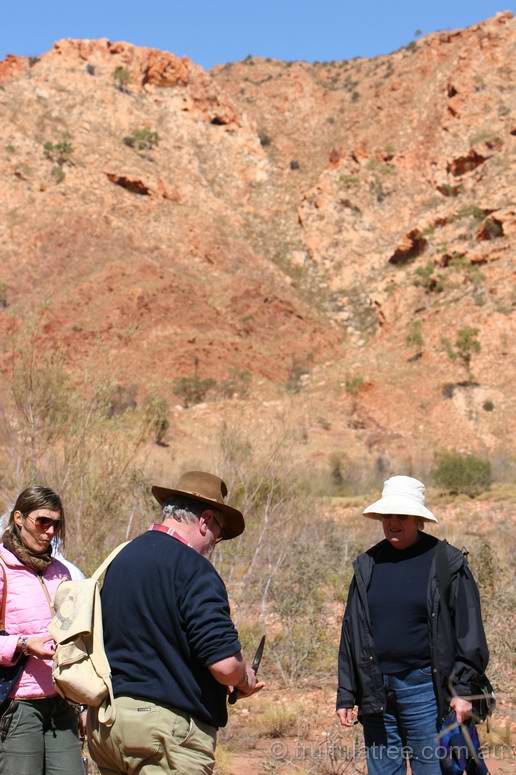 Looking for shatter cones inside Gosses Bluff