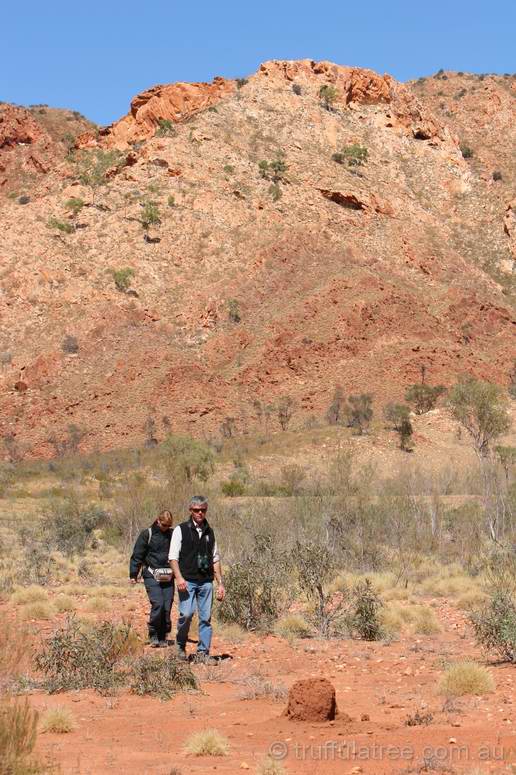 Looking for shatter cones inside Gosses Bluff