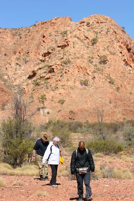 Looking for shatter cones inside Gosses Bluff