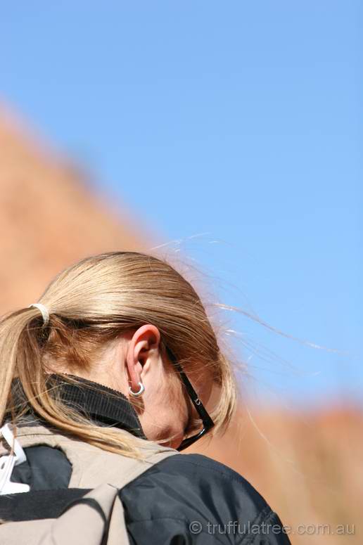 Looking for shatter cones inside Gosses Bluff