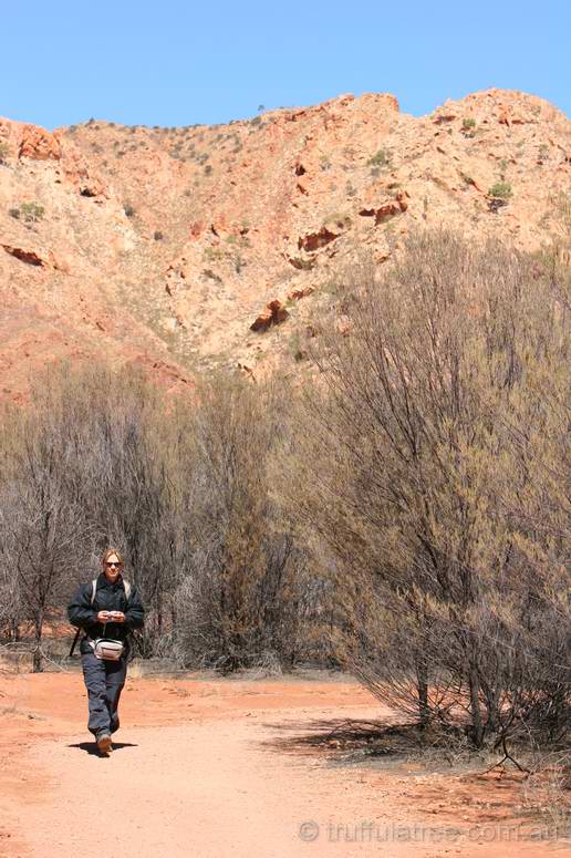 Looking for shatter cones inside Gosses Bluff