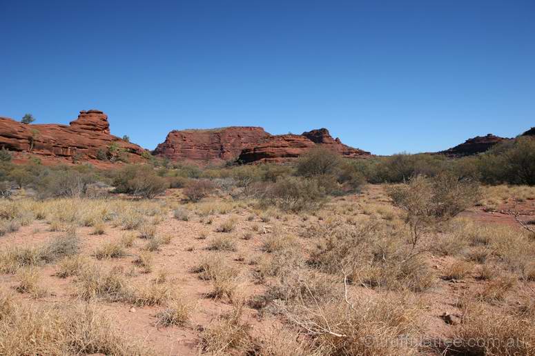 On the way into Palm Valley