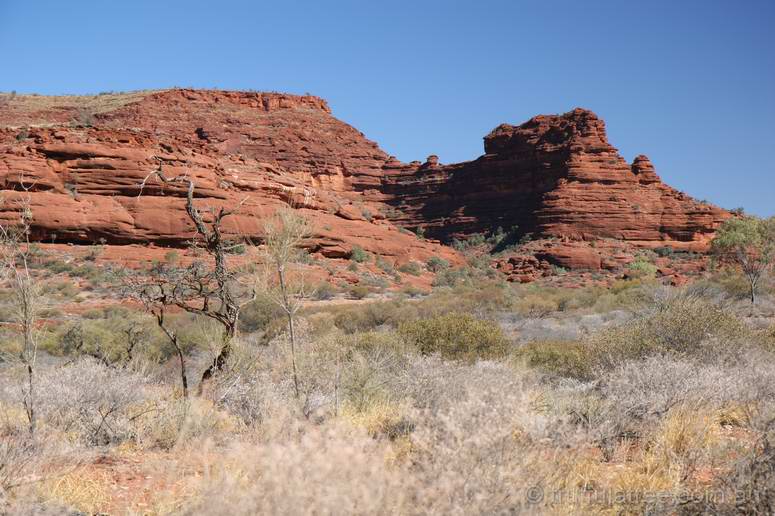 On the way into Palm Valley