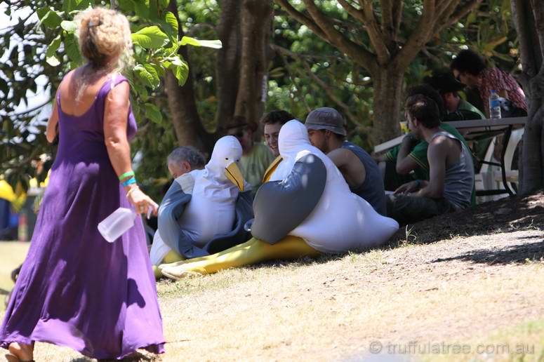 The Seaguls resting in the shade