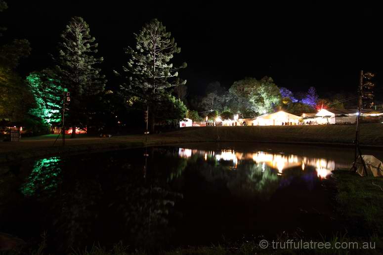 Quiet reflections on the village green