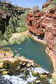 Swimming at Fortescue Falls