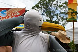 Posing Seagull