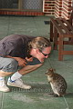 Striking a pose, Quokka style (he looks so cute, he could almost be human)