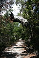 Noosa National Park