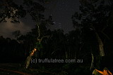 Stars from the car, Perigian Beach