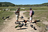 Scott, Stephan and various birds