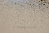 Interesting tidal drainage patterns in the sand, Great Keppel Island