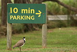 A parked Plover