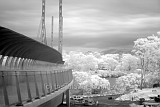 Eleanor Schonell Bridge in near infrared