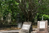 Dutton Park Cemetary