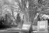 Dutton Park Cemetary in near Infrared