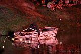 Slightly odd Korean performance piece at the lake