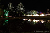 Quiet reflections on the village green