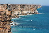 Great Australian Nibbles