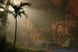 Mists in the caravan park, Rockhampton, at 3am