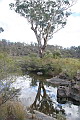 Kings Plains National Park