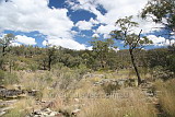 Kings Plains National Park