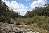 Kings Plains National Park