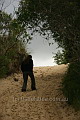 Climbing Henty Dunes