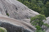 Bald Rock