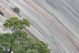 Bald Rock