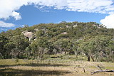 Girraween National Park